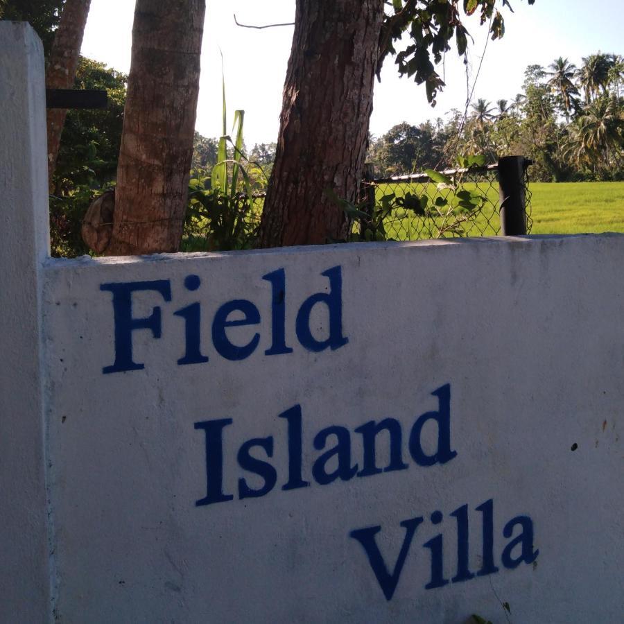 Field Island Villa - אהנגאמה מראה חיצוני תמונה